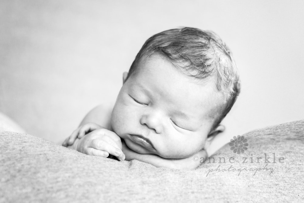 newborn baby with head on arms Mooresville and Lake Norman newborn baby photographer
