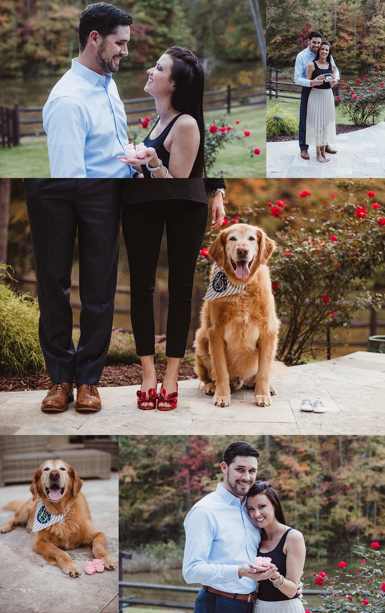 collage of pregnancy announcement photos