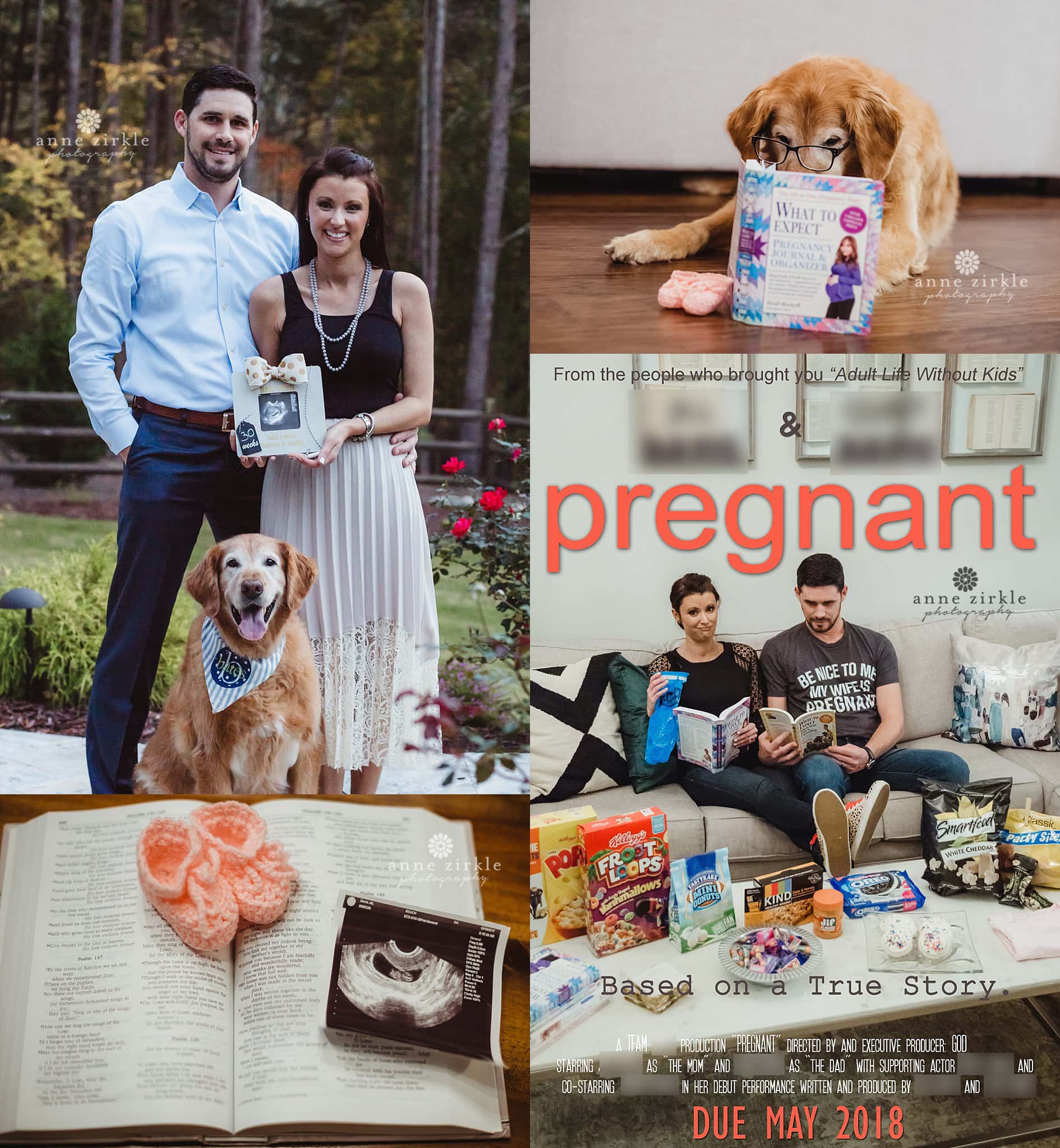 Collage of photos from a pregnancy announcement and gender reveal photo session