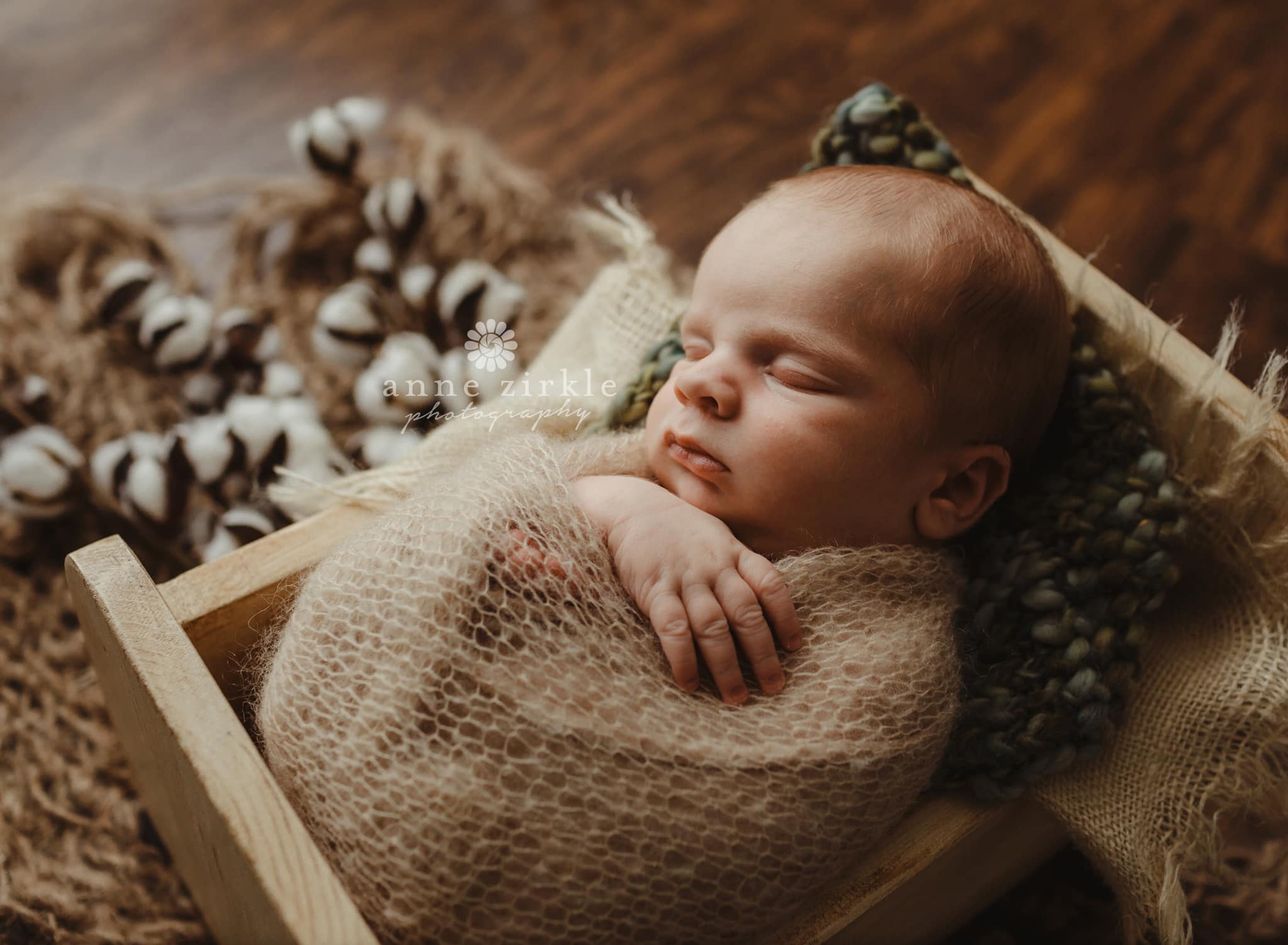newborn baby swaddled in tiny bed with cotton bolls Mooresville and Lake Norman newborn baby photographer