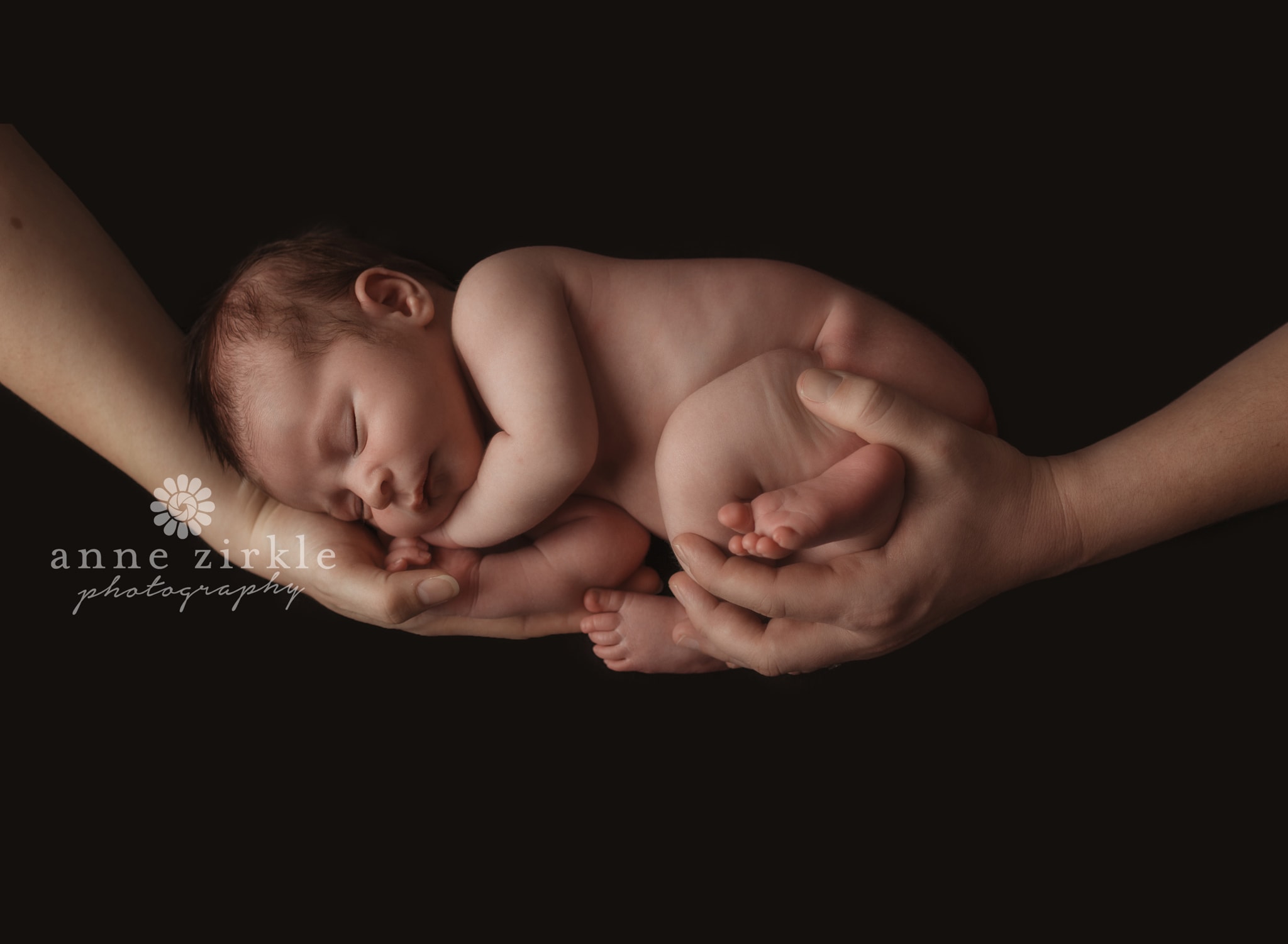 newborn suspended in parents hands Mooresville and Lake Norman newborn baby photographer