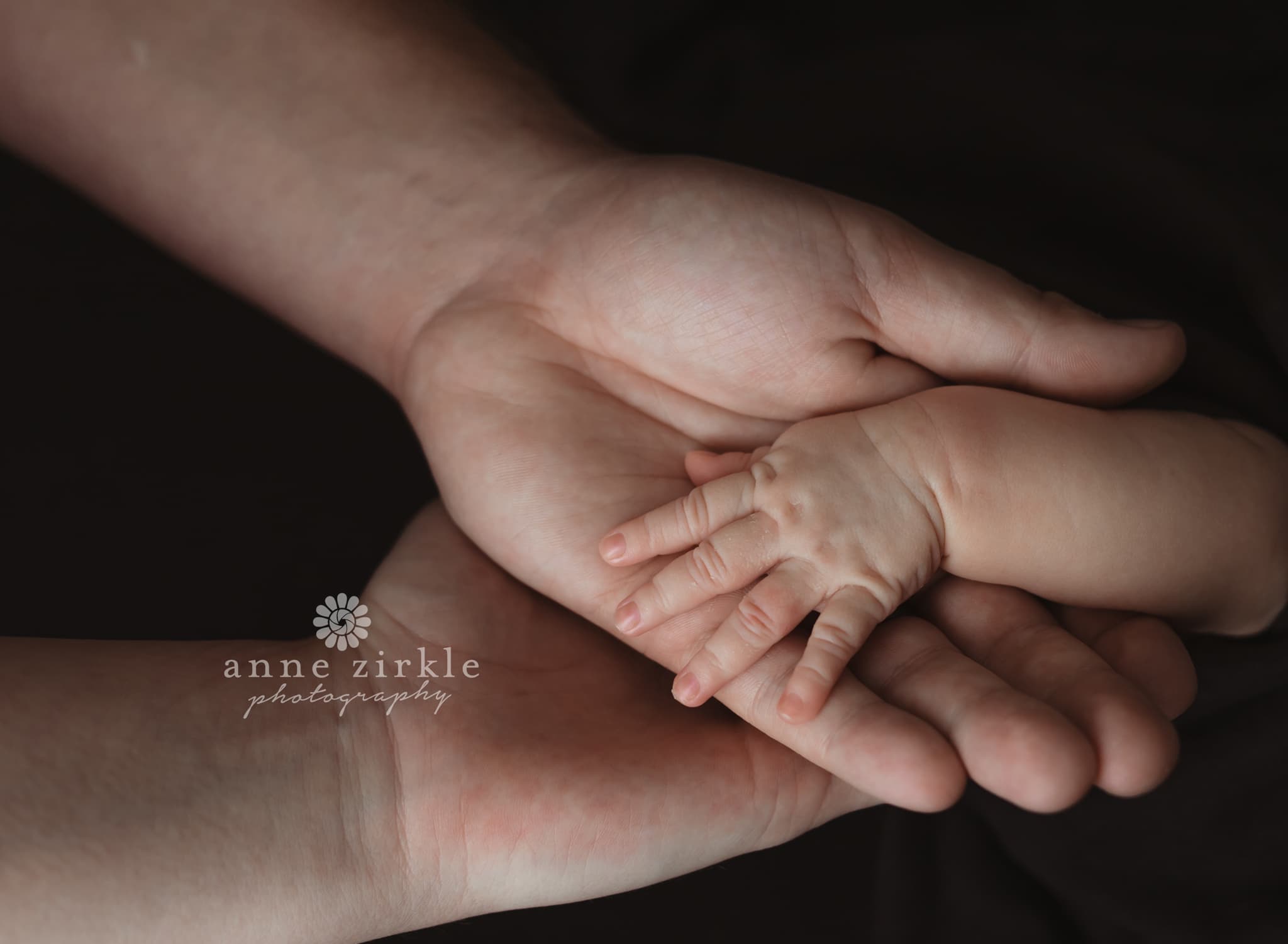 newborn and parents hands Mooresville and Lake Norman newborn baby photographer